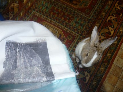 Девочка и лебедь №134584