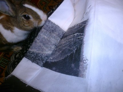 Девочка и лебедь №134585