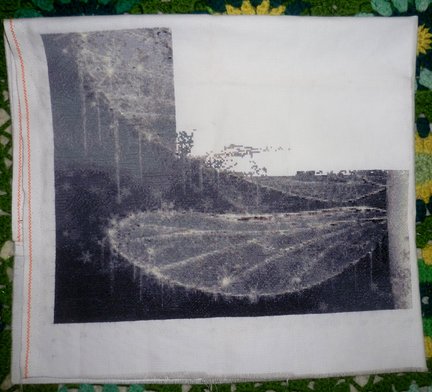 Девочка и лебедь №135424