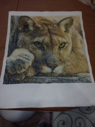 Работы, отшитые по схемам с этого сайта №135730