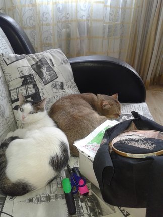 Мои два долгостроя №135930