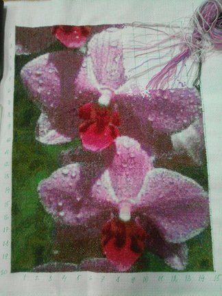 Крестик-крестик №136601