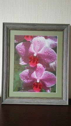 Крестик-крестик №137321