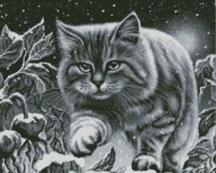 Фамильяр №137458