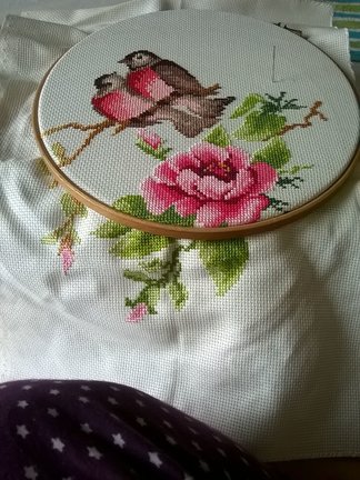 Два процесса -- «Лорд Шива» и «Живой огонь» №137695