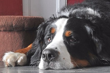 От исходника до схемы №140064