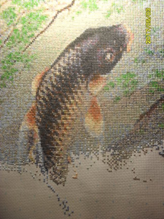 Карпы-прыгуны на удачу №141282