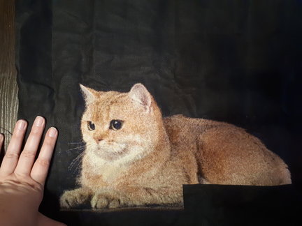 Мои два долгостроя №141740