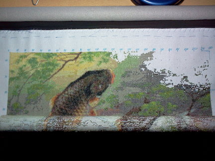 Карпы-прыгуны на удачу №142919