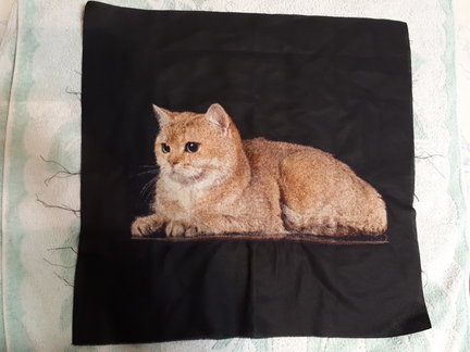 Мои два долгостроя №143230