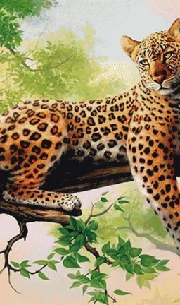 Помогите советом №143716