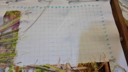 Терраса у моря от Химеры №143874