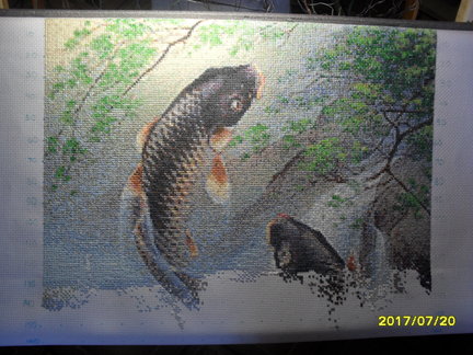 Карпы-прыгуны на удачу №143879