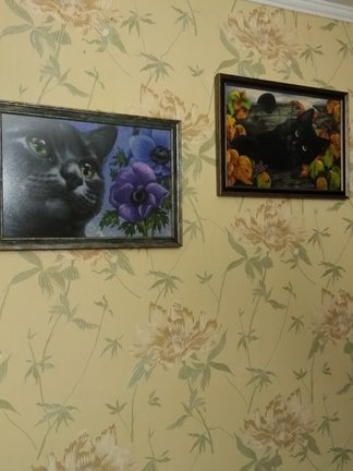 Тропинка в рай №144237