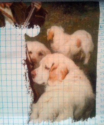 ГК «Юный охотник» №144378