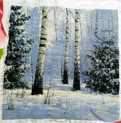 В лесу родилась ёлочка №144428