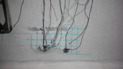 Корица, лайм и кофе - ассорти для кухни №144452