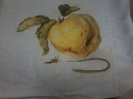 ГК 1706 The Chocolate Girl №145644