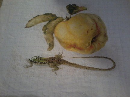 ГК 1706 The Chocolate Girl №145645