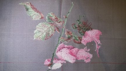 Розовый шиповник от Теи Гувенер №146062