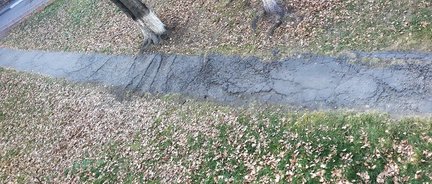 Мой вышивальный дневник №146377