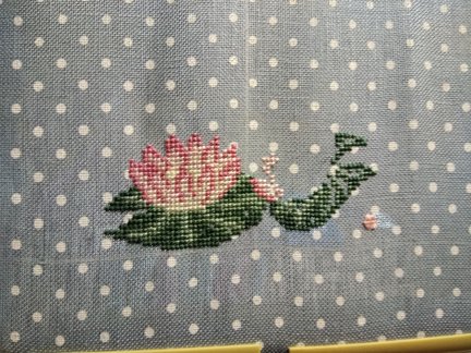 Мои бискорню №146523