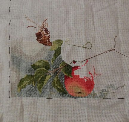 Лисы  и воробушки №147570