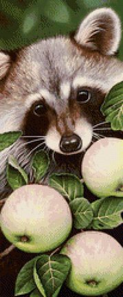 Пробуждение силы №147850