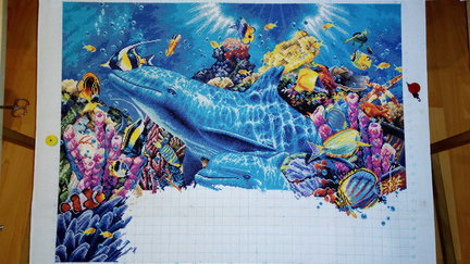 Дельфины в океане №148042