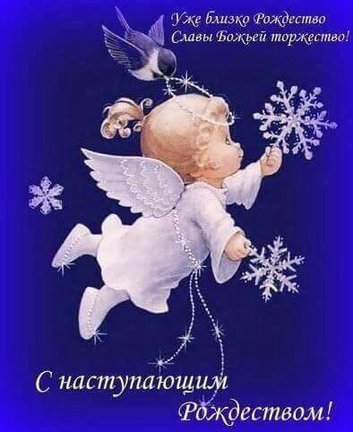 «Залетные» и не только №149129