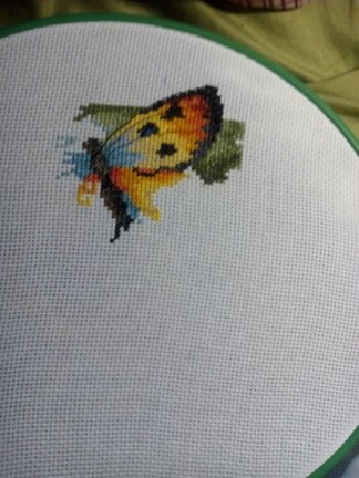 Бабочки №151501