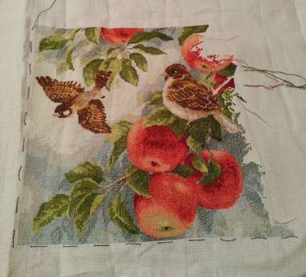 Лисы  и воробушки №151821