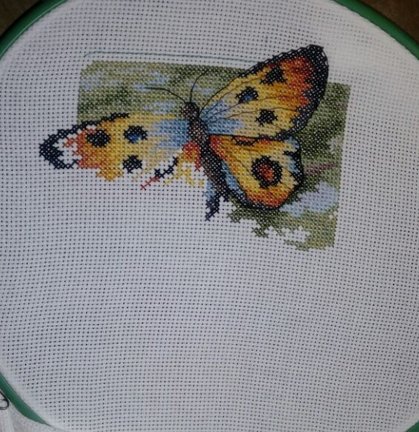 Бабочки №151857