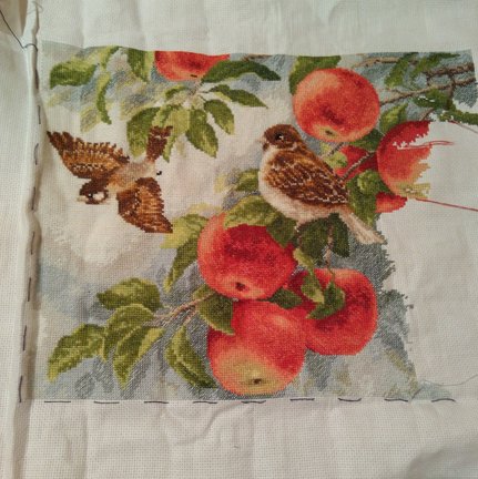 Лисы  и воробушки №152389