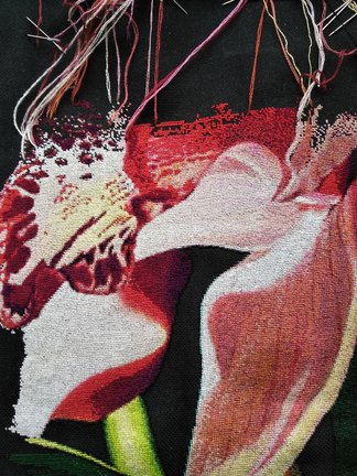 Орхидея №152593