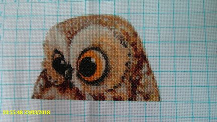 «Совушки - красавицы» :-) Схема с нашего сайта. №152891