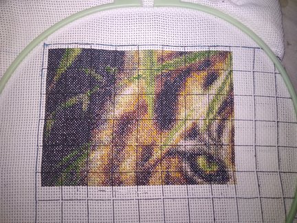 Планы на ближайшее время №154070