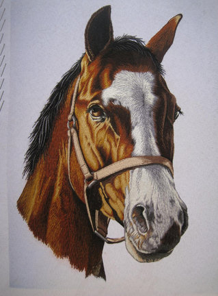 Радость бытия №154128