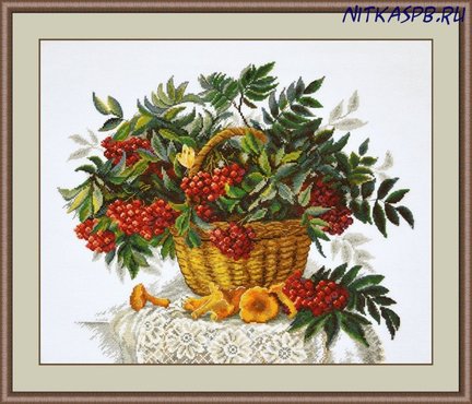 Гора, свободный полет, рябина, лисички, пахнет лесом №154167