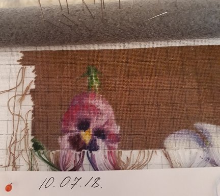 Анютины глазки №156233