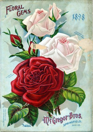 Работа над исходной картинкой №157005