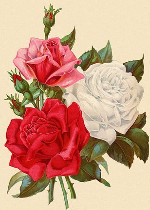 Работа над исходной картинкой №157014