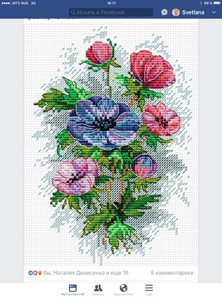 МП студия №157030