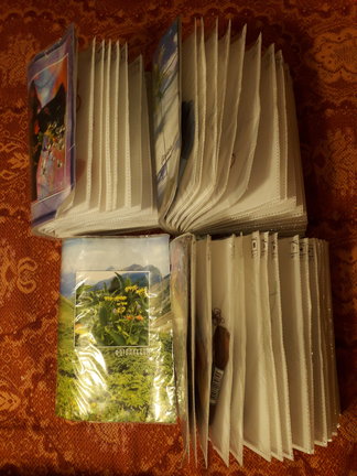 Березки и другие работы №157073