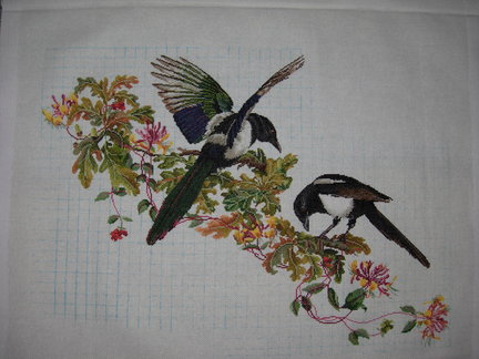 «Залетные» и не только №157915