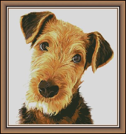 Эрдельтерьер №158823