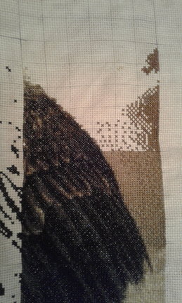 Орёл и девушка №158957