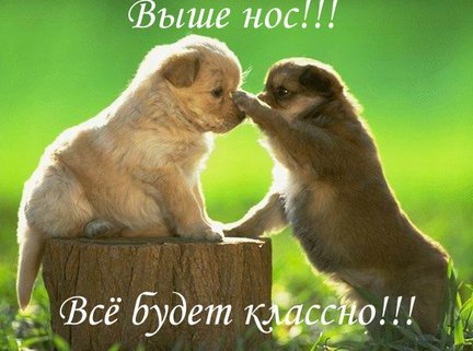 Викинг №159941