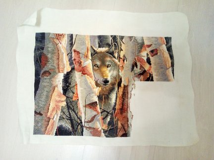 «Страж» и «Замок Дисней» №160654