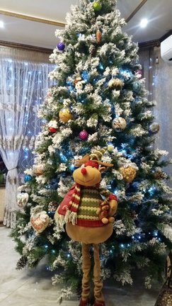 Наши ёлки №160793